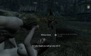 This is kind of a bad time, Whiterun Guard...