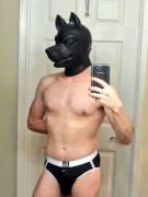 Been a while since I posted, what does /r/gaykink think of my new puppy hood?