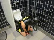 piss pup in public toilet