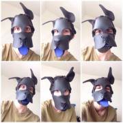 The Many Expressions of Pup Play