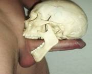 Possibly fake skull.