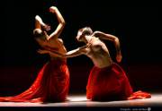 Ballet: Jiri Kylian's Bella Figura