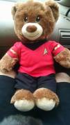 Mommy got me a new bear today! He's the captain of the u.s.s cuddles.