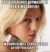 So this is why it is wrong to say women are mosquito-brained.
