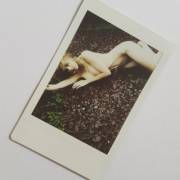Danielle Sharp Polaroid