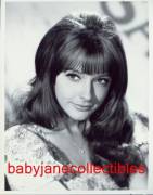 Happy birthday to cutie Brenda Scott -- guest starred on many TV series in the '60s