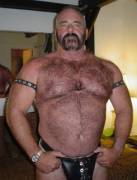 Leather daddy bear