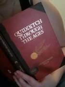 Mind i[f] I Slytherin with some Quidditch knowledge?