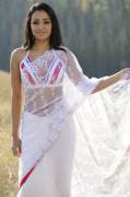 Trisha Krishnan in white saree [PIC]