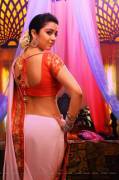 Charmee Kaur sexy exposure in a saree