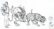 One of the pictures in Kim Jung Gi's sketchbook. [tigerman -&gt; tiger]