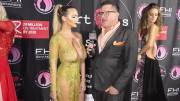 Lindsey Pelas on the red carpet