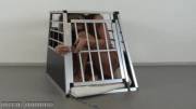 Natalia Forrest locking herself into the dog cage with her belt on