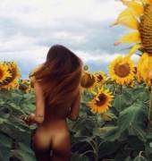 Sunflower Nudist Girl 2