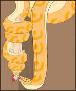 Snake food [human male x snake. mild nudity]