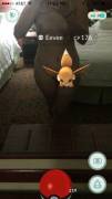 Naked picture with Eevee