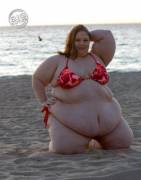 Imagine seeing this beauty on the beach