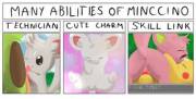 Why you should have a Minccino on your team [F/M]