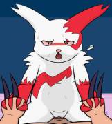 I noticed a lack of girl Zangoose, so I thought I'd give it a try [Coed]