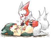 Quilava [M] and Zangoose [M] getting intimate