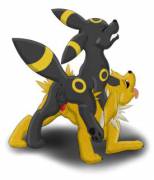 Umbreon [M] X Jolteon [F] completed sketch 2