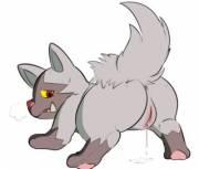 [coed] Poochyena! [8 images total, 5 M solo, 1 F solo, M Pooch/M Trainer, M Pooch/M Houndour]