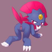 Weavile Before and After [F] (cotora)