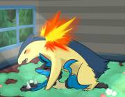 Typhlosion [M] and Lucario [F]