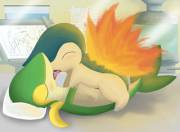 Researching Love. Snivy [F] x Cyndaquil [M]