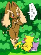 Umm Lopunny [?] I think Pikachu [M] and Rattata [?] are busy