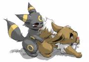 [M/F] Umbreon and Eevee enjoying themselves