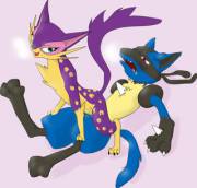 Hetero and Solo Purrloin and Liepard [2 solo Purrloin, 2 solo Liepard, F Liepard/M Lucario, F Liepard/M typhlosion, F Liepard/M mightyena (GIF), 7 Total]