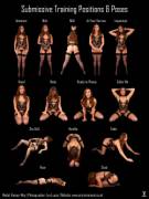 Submissive Pose Chart: Honour May