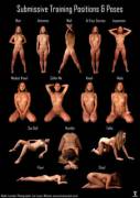 Submissive Pose Chart (x post /r/BdsmNsfw)