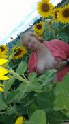 [F]un in the Sunflower Patch
