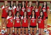 I love volleyball teams!