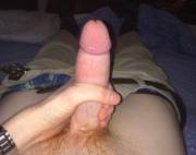 19 year old cock, PM's welcome