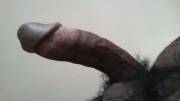 My Cock Hanging