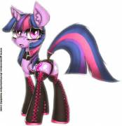 I love the way Twilight looks in a tail wrap.