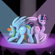 Presenting Rainbow Dash and Twilight [F/F] (artist: devo87)