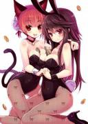 Cat and hell bunny [bunny suits]