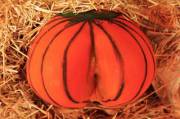 What a pumpkin