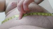 Looks like I outgrew my measuring tape. Fattening up nicely~