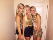 Three Jungle Blondes