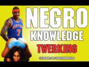 Negro Knowledge: Twerking