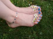 Daisy Toes