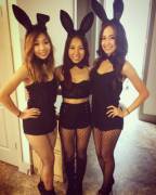 Three bunnies