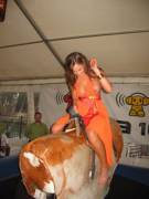 Bull Riding