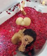 Rose Petals