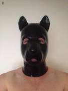 just got my new latex pup hood from blackstyle. i must say they make amazing latex. highly recommend